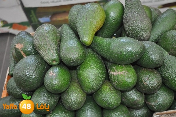 yaffa sooq 0306 (10).JPG